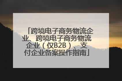 跨境电子商务物流企业、跨境电子商务物流企业（仅B2B）、支付企业备案操作指南